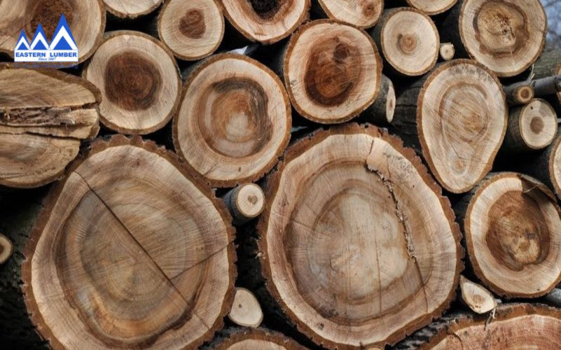 Cây gỗ Óc Chó xẻ ngang thân