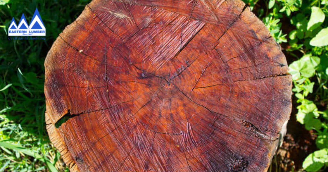 Gỗ Mahogany có màu nâu đỏ đậm và có nhiều sọc