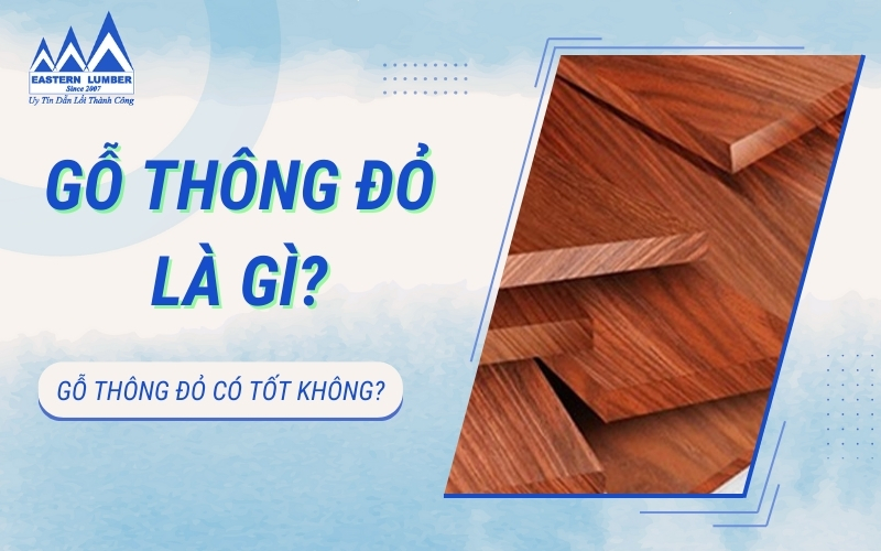Gỗ thông đỏ là gì? Gỗ thông đỏ có tốt không?