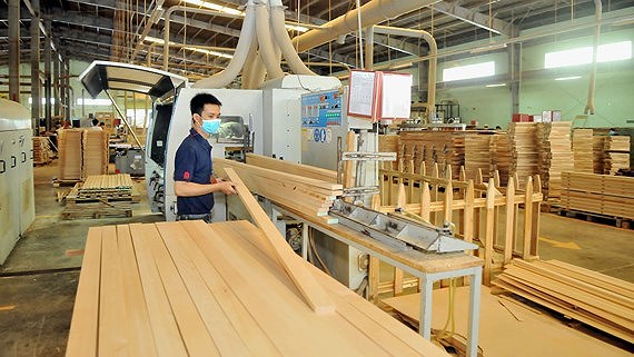 Thị trường gỗ Việt Nam qua báo cáo xuất khẩu – nhập khẩu năm 2020
