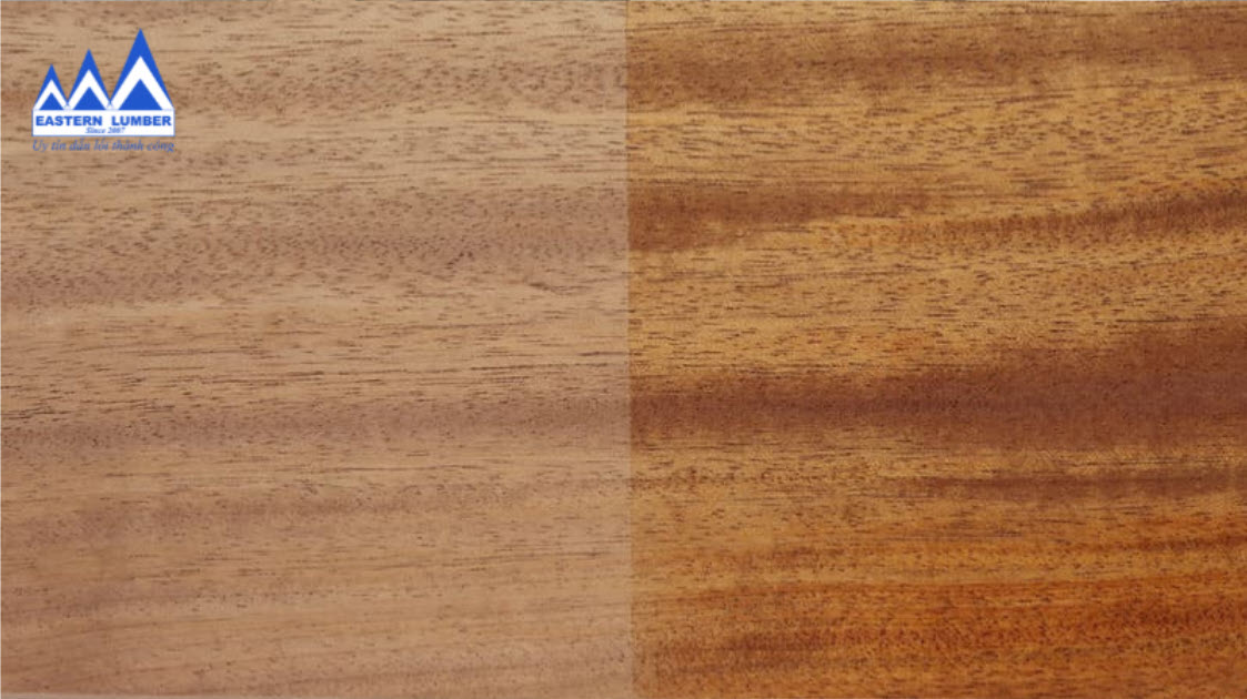 Sử dụng và gia công gỗ mahogany