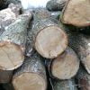 Good Oak wood