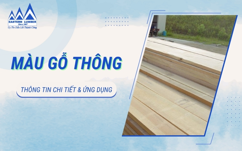 Thông tin chi tiết về màu gỗ thông và ứng dụng phổ biến