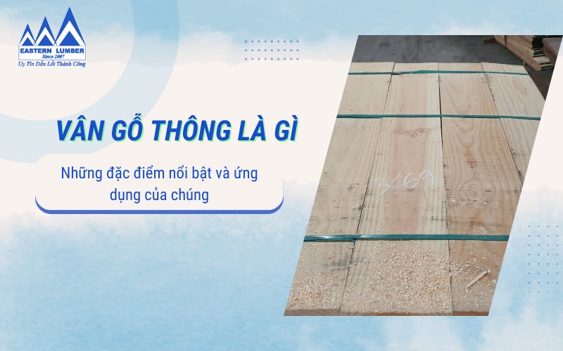 Những đặc điểm nổi bật của các loại vân gỗ thông và ứng dụng của chúng vào nội thất