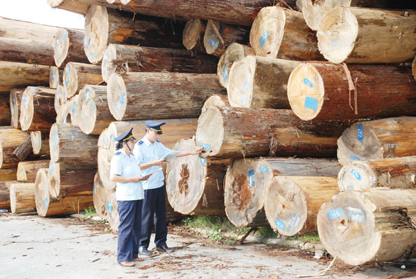 nhà cung cấp gỗ nhập khẩu