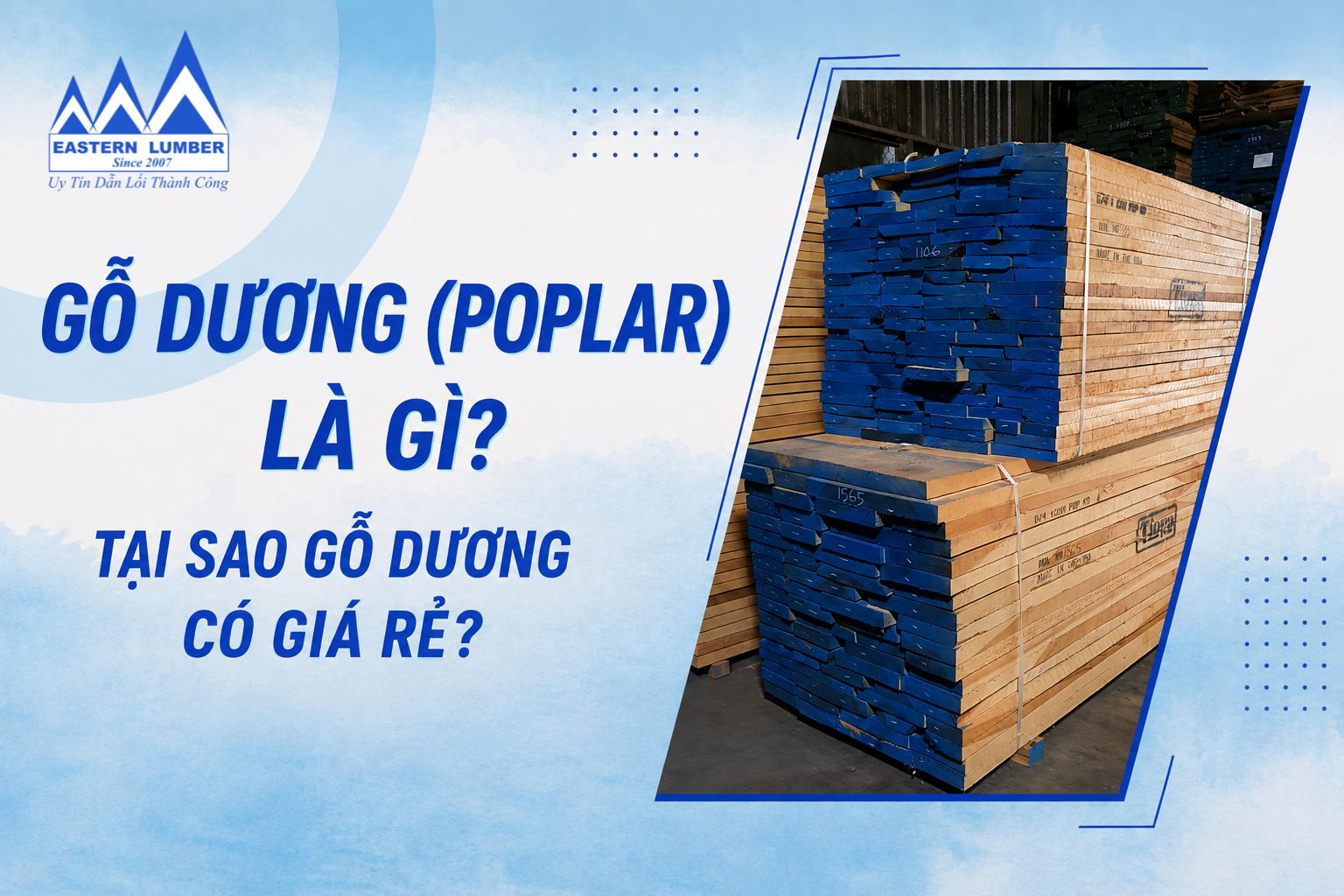Gỗ Dương (Poplar) là gì? Tại sao gỗ dương có giá rẻ