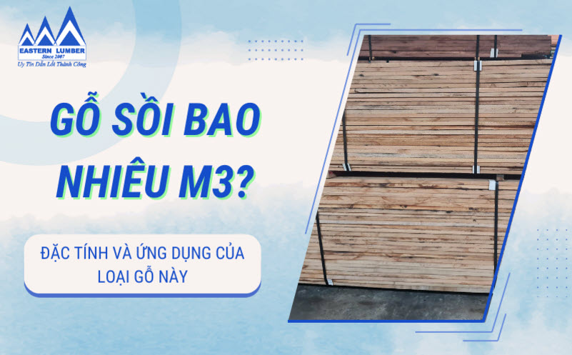 Gỗ sồi mỹ giá bao nhiêu m3? đặc tính và ứng dụng của loại gỗ này