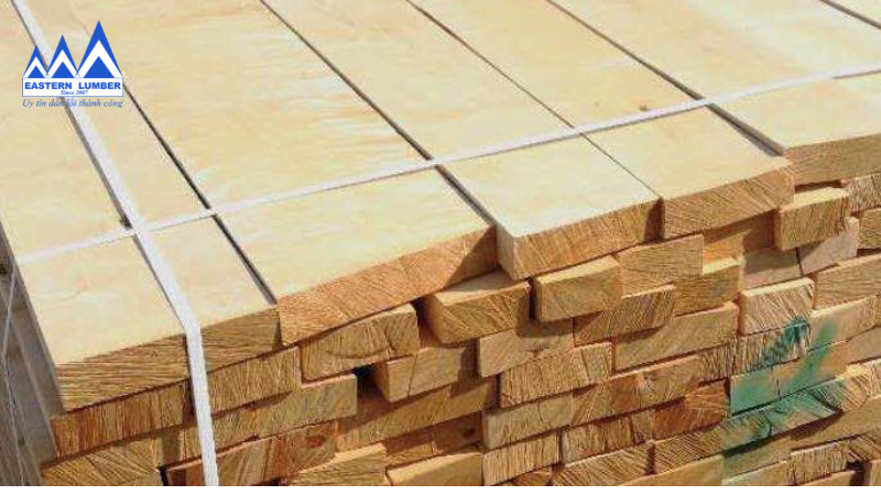 Gỗ American Yellow Birch có khả năng chống mối mọt tốt
