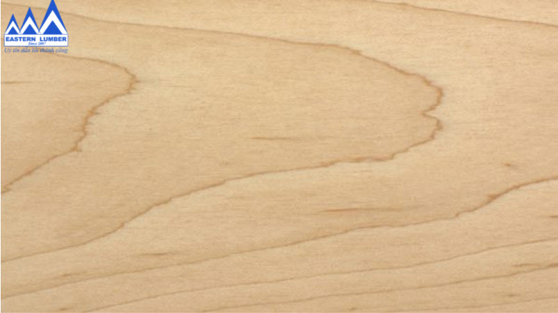 Gỗ thích mềm là gỗ gì? Thông tin chi tiết về thích mềm nhập khẩu 2