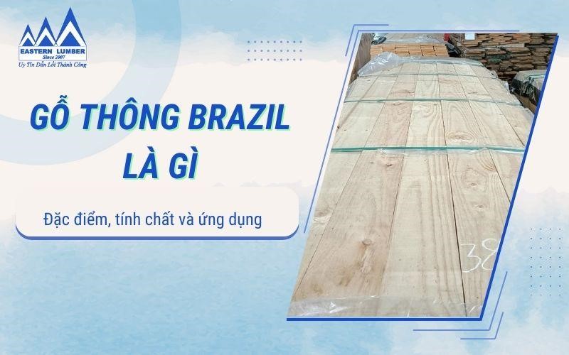 Gỗ thông Brazil là gì? Nên chọn mua gỗ thông Brazil ở đâu?