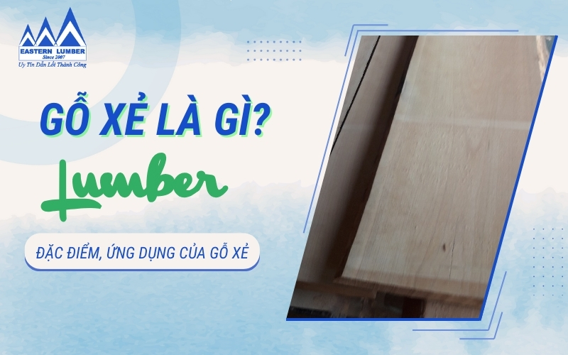 Gỗ xẻ là gì? Đặc điểm, ứng dụng của gỗ xẻ hiện nay