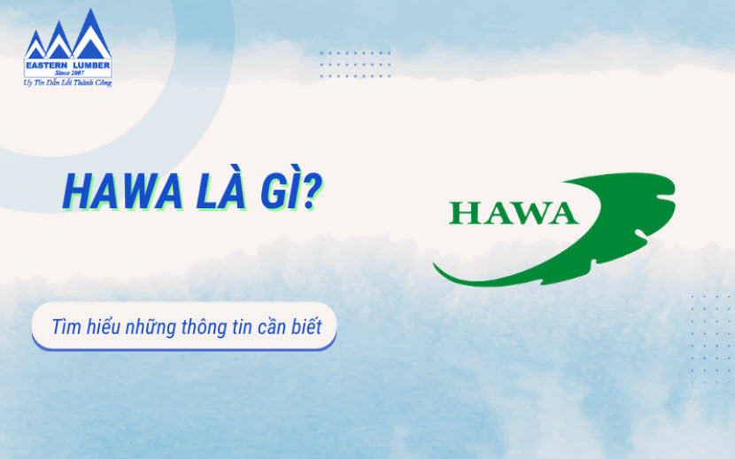 Hawa là gì? Gỗ Phương Đông-thành viên Hawa và nơi cung cấp gỗ uy tín, chất lượng.