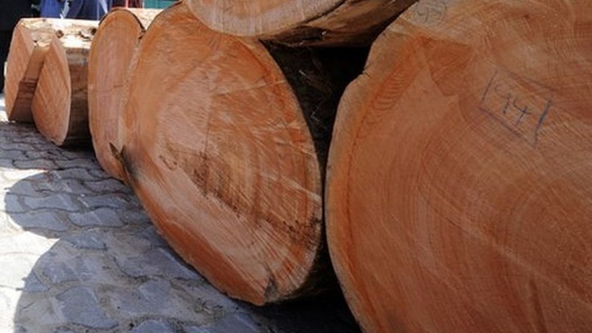 gỗ nhập khẩu châu phi