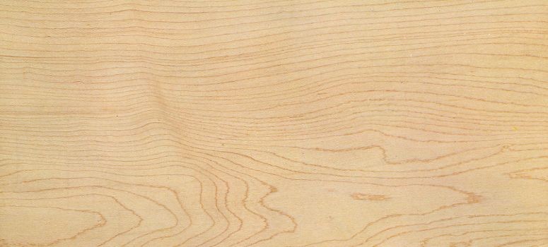 Vân gỗ Hard Maple