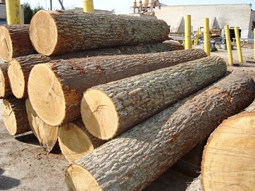 Cách bảo quản gỗ tròn