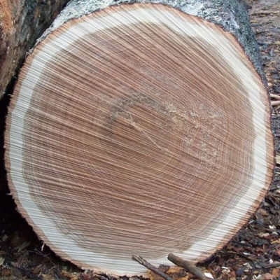 Vân gỗ tự nhiên