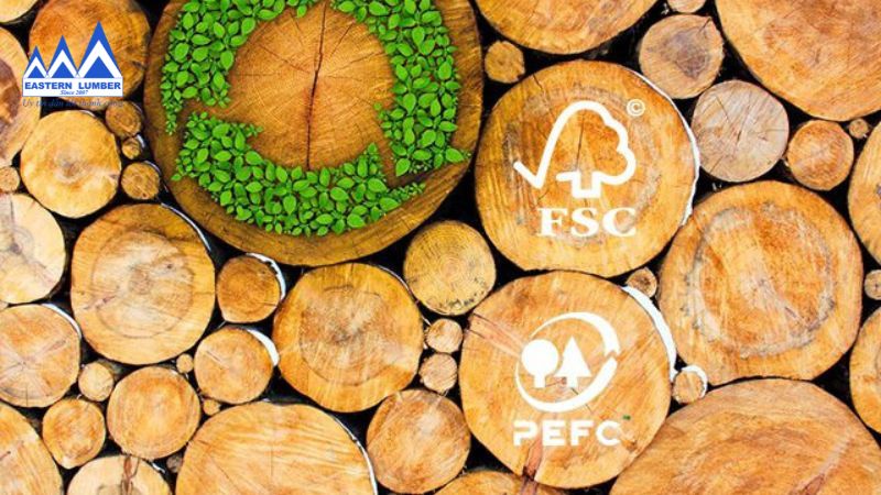 So sánh PEFC và FSC