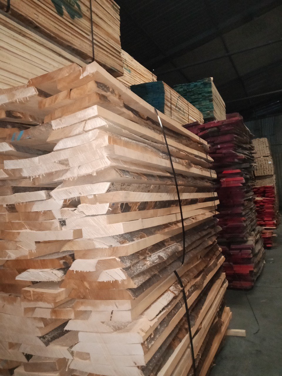 Gỗ beech nhập Châu Âu – Những thông tin cần biết về loại gỗ này.