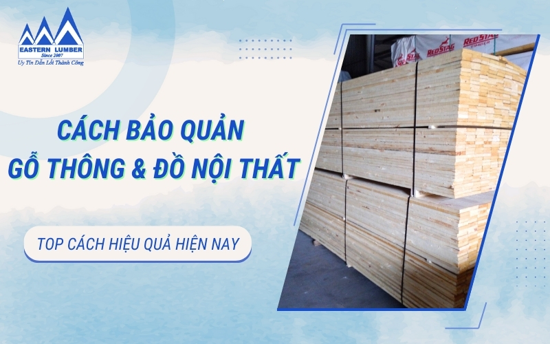 Cách bảo quản gỗ thông và đồ nội thất gỗ thông hiệu quả hiện nay