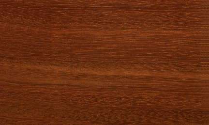 Màu sắc gỗ Lim Tali