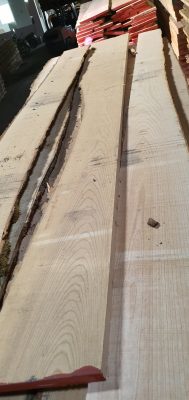 Giá các loại gỗ tự nhiên - Gỗ Tần bì Châu Âu