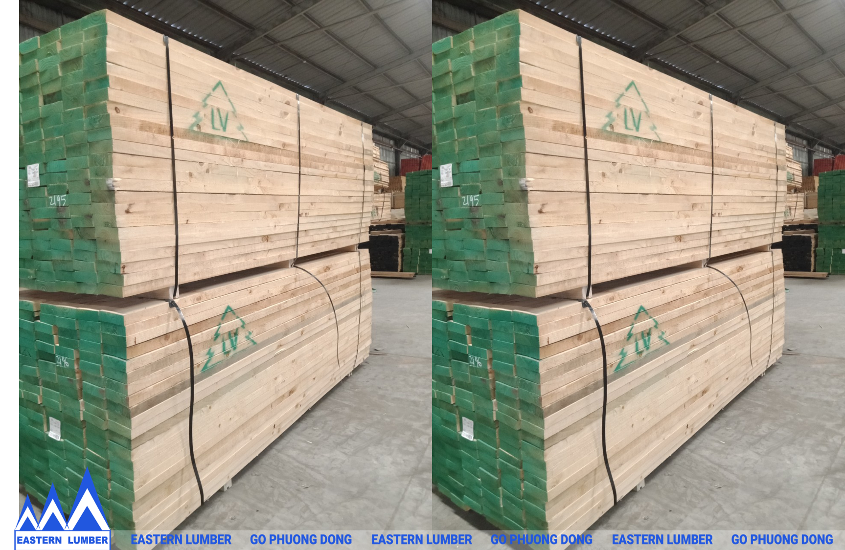 Gỗ thông nhập khẩu indus là gì? Có nên sử dụng gỗ thông indus không?