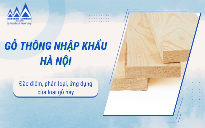 Gỗ thông nhập khẩu Hà Nội – Gỗ Phương Đông nhà cung cấp gỗ uy tín