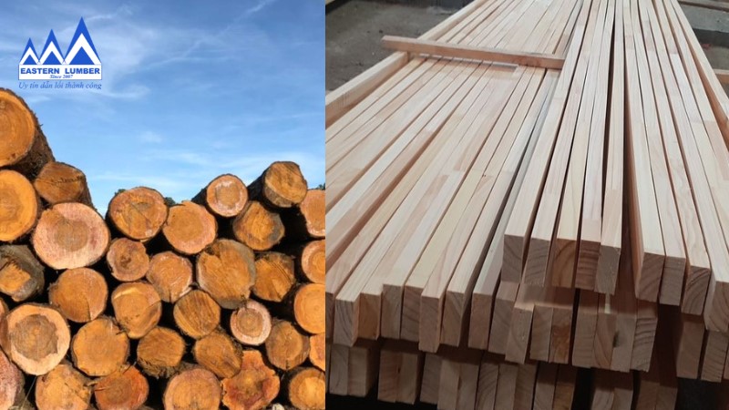 Gỗ Thông tròn và Thông xẻ nhập khẩu
