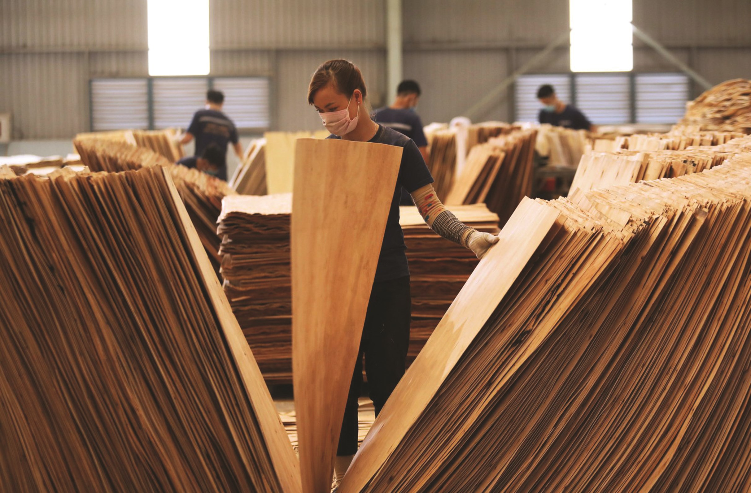 The wood industry is facing a big “wave”.