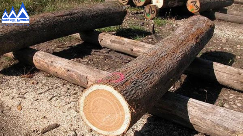 Gỗ Hồ Đào tròn có khả năng chống va đập tốt