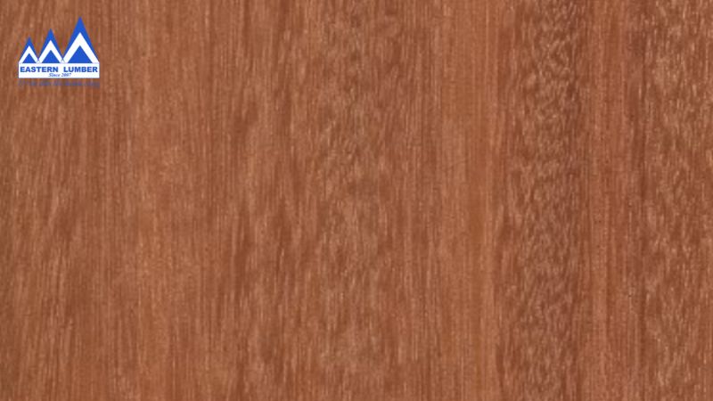 Vân gỗ dái ngựa đặc trưng nhận biết