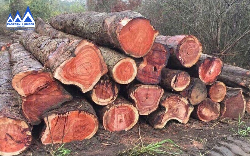 Gỗ Giáng Hương Nhập Khẩu – Gỗ Phương Đông