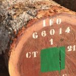 Gỗ Gõ Đỏ Tròn Nhập Khẩu - Gỗ Phương Đông
