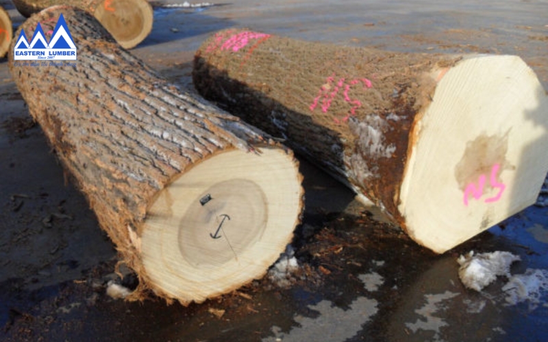 Gỗ dương tròn Nhập Khẩu – Gỗ Phương Đông