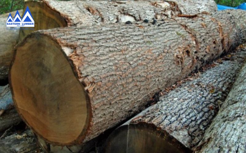 Gỗ Sồi Trắng Tròn Châu  Âu – Gỗ Phương Đông