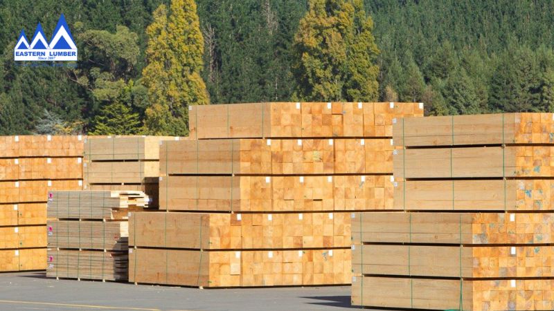 Gỗ Thông Hộp Nhập Khẩu – Gỗ Phương Đông
