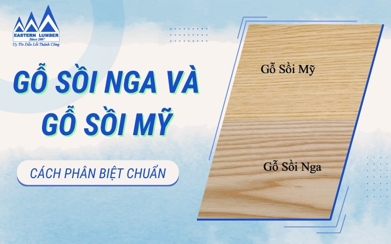 Cách phân biệt gỗ sồi Nga và gỗ sồi Mỹ chuẩn xác