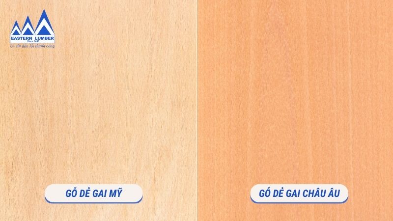 2 loại gỗ Dẻ Gai phổ biến hiện nay