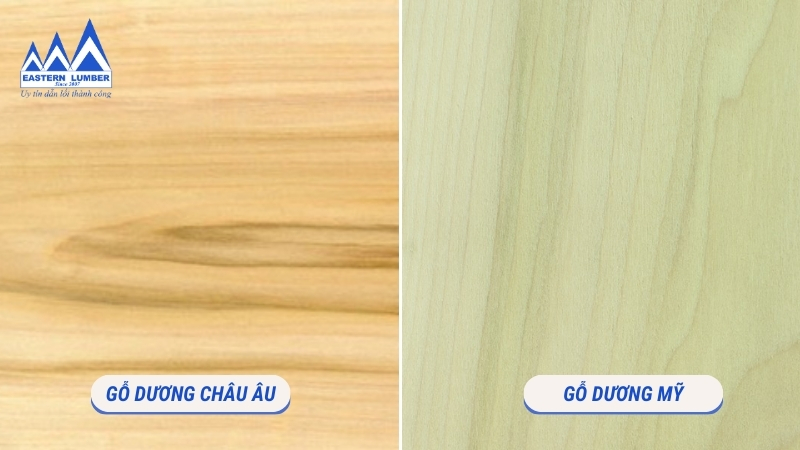 các loại gỗ dương