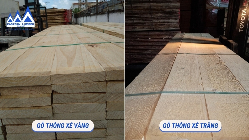 2 loại gỗ thông xẻ và ưu diểm bền bỉ của nó