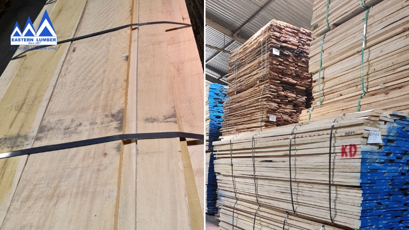 Gỗ Phương Đông cung cấp gỗ Dương chất lượng, đạt chuẩn quốc tế