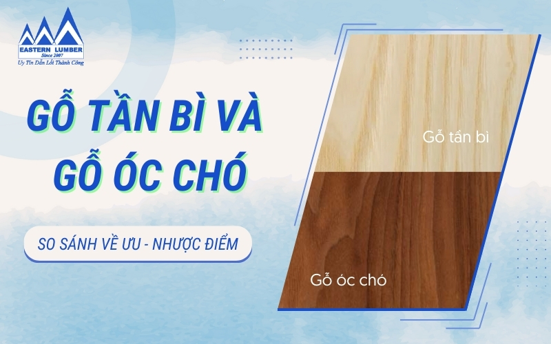Gỗ Tần Bì vs gỗ Óc Chó: So sánh Ưu, Nhược điểm chi tiết