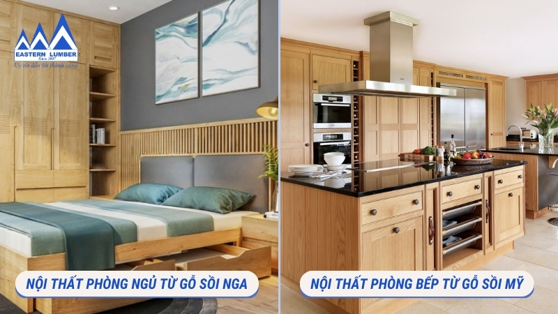 Ứng dụng Gỗ sồi Nga và gỗ sồi Mỹ 