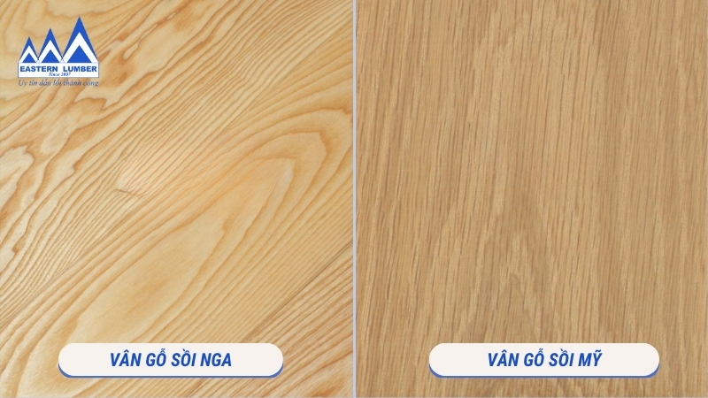 Vân gỗ sồi nga và vân gỗ sồi Mỹ