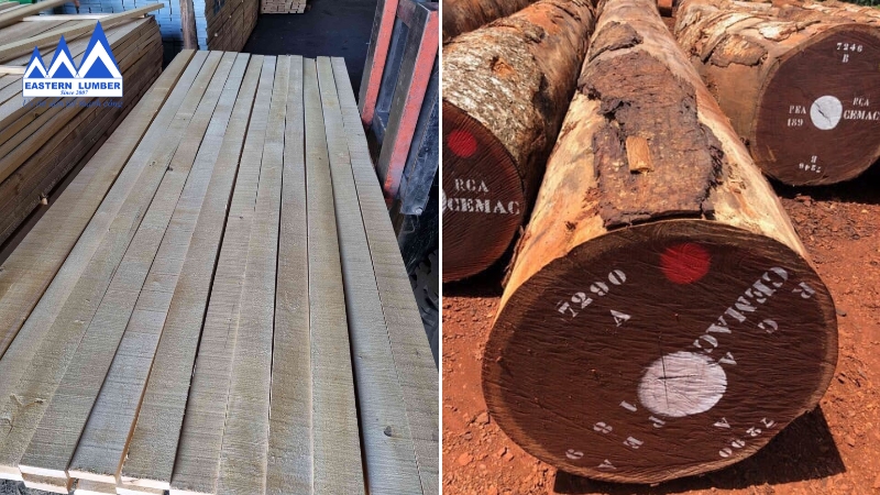 Gỗ Phương Đông cung cấp gỗ nhập khẩu chất lượng cao