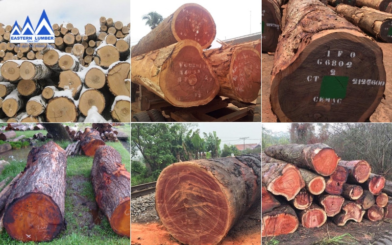 Các loại gỗ khác chất lượng tại Kho Gỗ Phương Đông