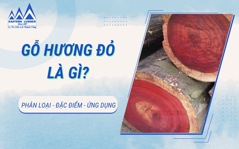 Gỗ hương đỏ là gì? Phân loại, đặc điểm, ứng dụng hiện nay
