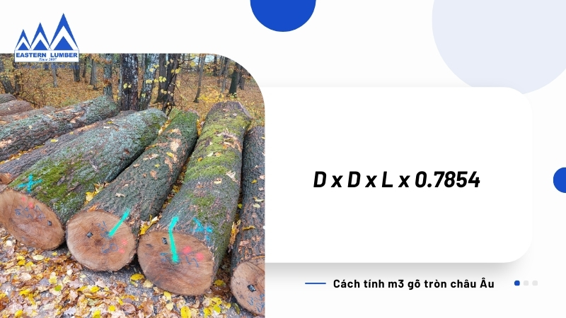Cách tính m3 gỗ tròn châu Âu với công thức brereton