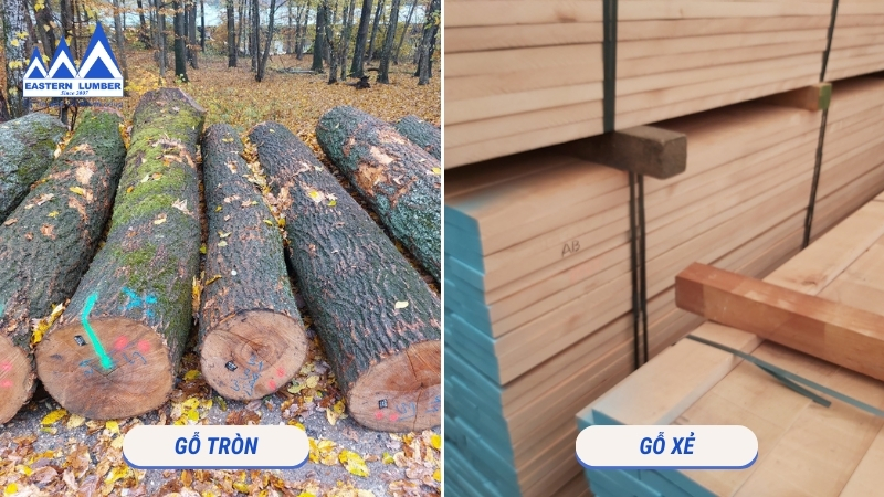 Gỗ tròn chưa qua xử lý còn vỏ cây và gỗ xẻ đã cắt thành từng tấm